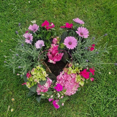 Biodegradable planted Heart and Wreath