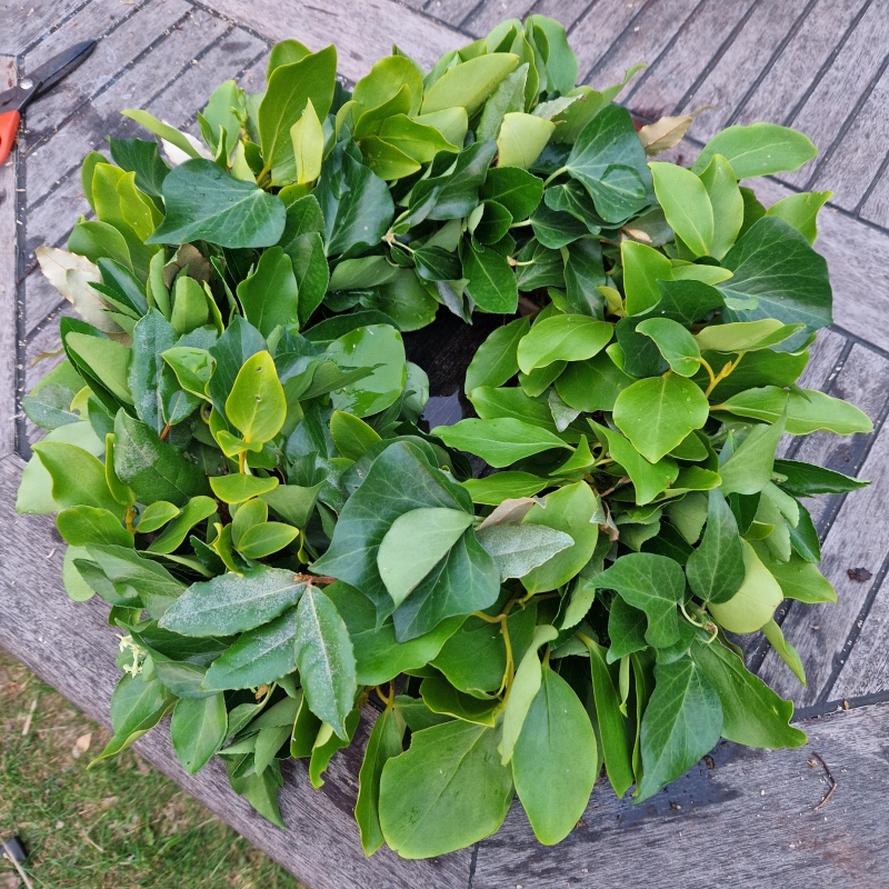 Biodegradable Funeral Wreath 