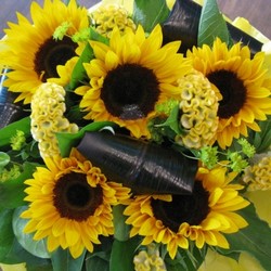 Sunflower bouquet