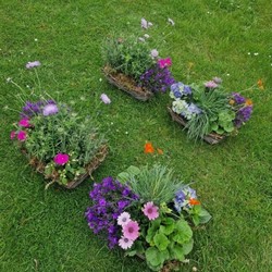 Planted Eco Funeral wreaths and Tributes