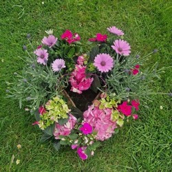 Planted Eco Funeral wreaths and Tributes