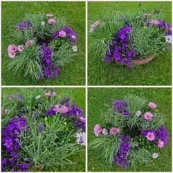 Biodegradable planted Heart and Wreath