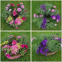 Planted Eco Funeral wreaths and Tributes